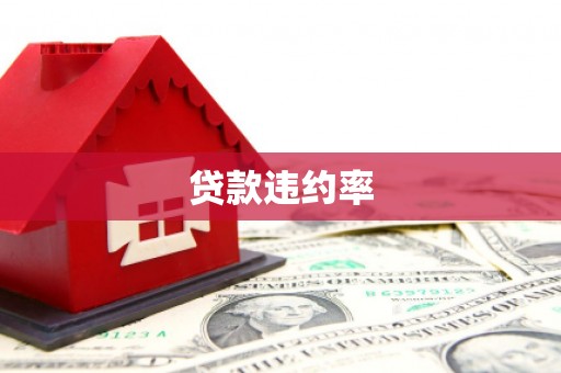 西市贷款违约率