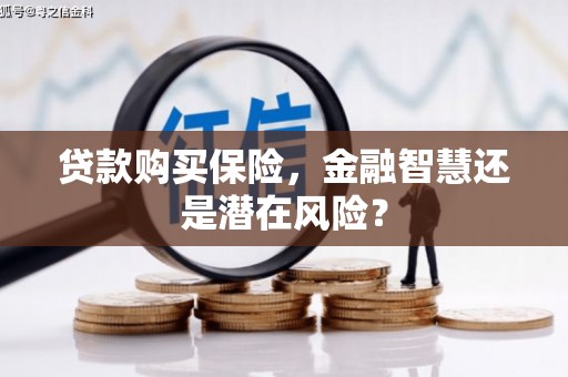 西市贷款购买保险，金融智慧还是潜在风险？