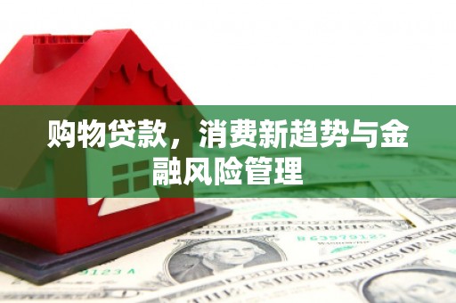 西市购物贷款，消费新趋势与金融风险管理