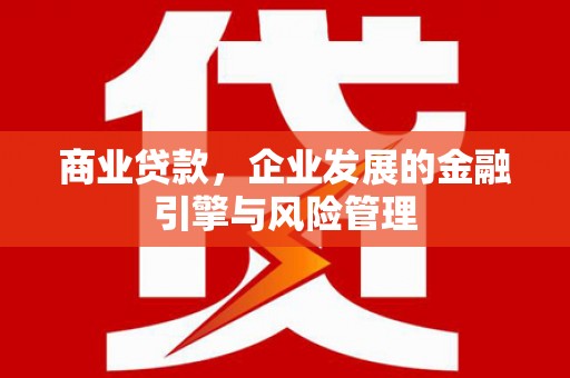 西市商业贷款，企业发展的金融引擎与风险管理