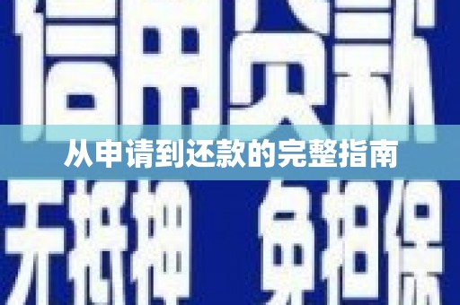 西市从申请到还款的完整指南