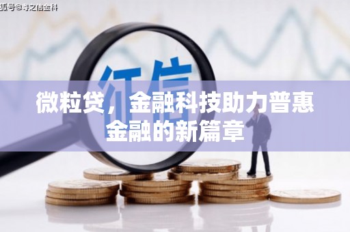 西市微粒贷，金融科技助力普惠金融的新篇章