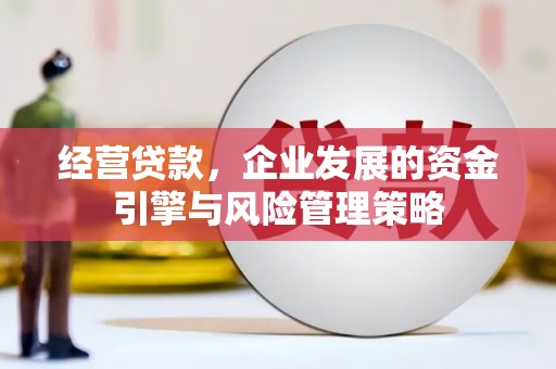 西市经营贷款，企业发展的资金引擎与风险管理策略