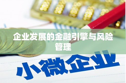 西市企业发展的金融引擎与风险管理