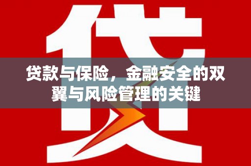西市贷款与保险，金融安全的双翼与风险管理的关键