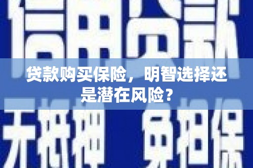 西市贷款购买保险，明智选择还是潜在风险？