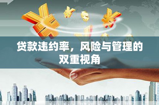 西市贷款违约率，风险与管理的双重视角