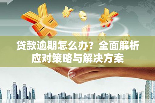 西市贷款逾期怎么办？全面解析应对策略与解决方案