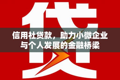 西市信用社贷款，助力小微企业与个人发展的金融桥梁