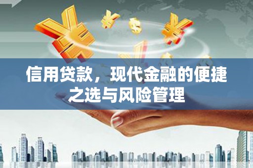 西市信用贷款，现代金融的便捷之选与风险管理