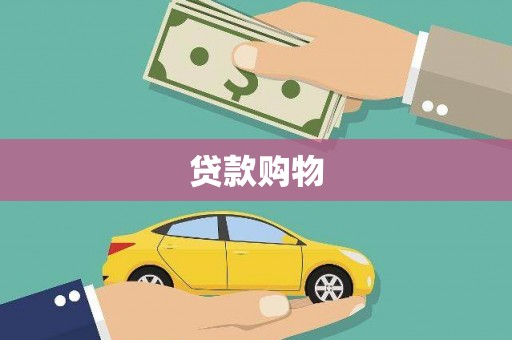 西市贷款购物