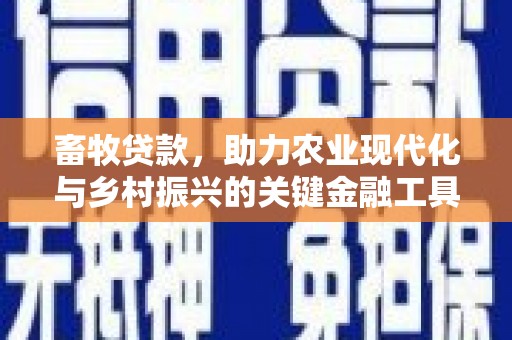 西市畜牧贷款，助力农业现代化与乡村振兴的关键金融工具