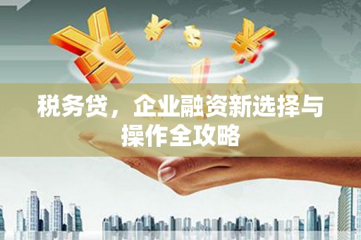 西市税务贷，企业融资新选择与操作全攻略