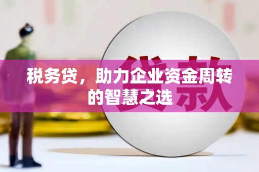 西市税务贷，助力企业资金周转的智慧之选
