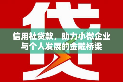 西市信用社贷款，助力小微企业与个人发展的金融桥梁