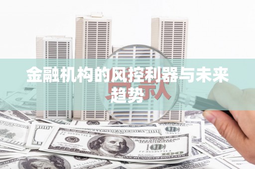 西市金融机构的风控利器与未来趋势