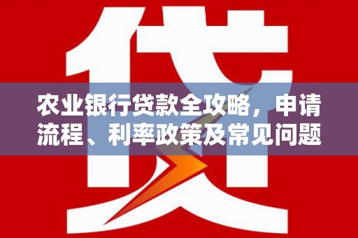 西市农业银行贷款全攻略，申请流程、利率政策及常见问题解析