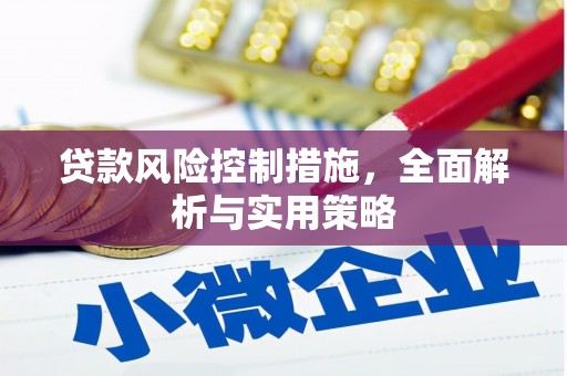 西市贷款风险控制措施，全面解析与实用策略