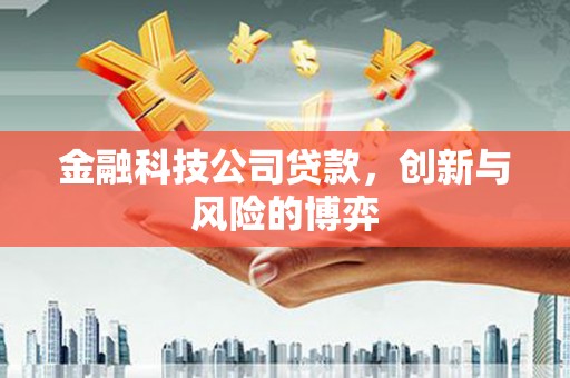 西市金融科技公司贷款，创新与风险的博弈
