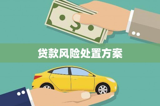 西市贷款风险处置方案