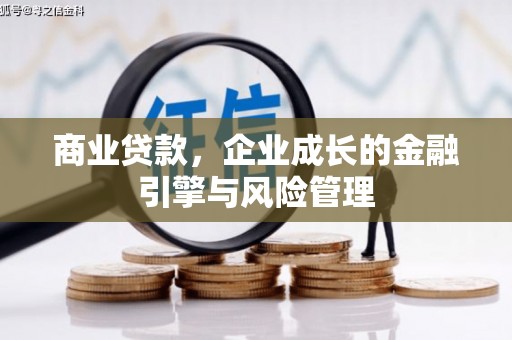 西市商业贷款，企业成长的金融引擎与风险管理