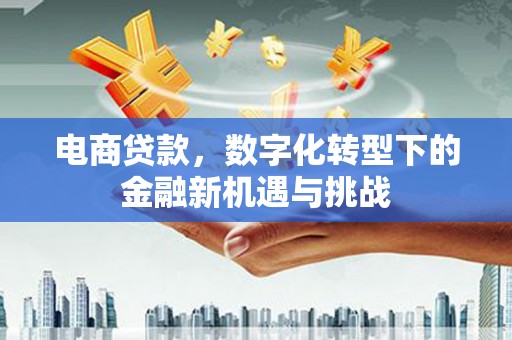 西市电商贷款，数字化转型下的金融新机遇与挑战