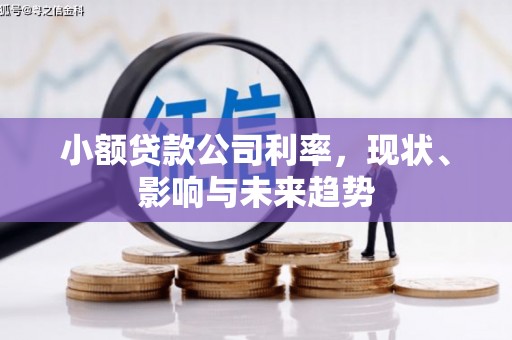 西市小额贷款公司利率，现状、影响与未来趋势