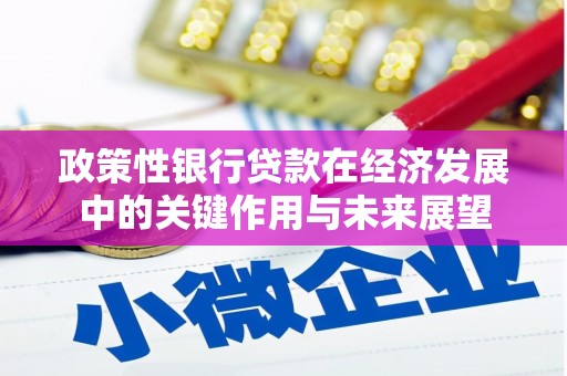 西市政策性银行贷款在经济发展中的关键作用与未来展望
