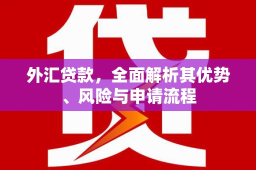 西市外汇贷款，全面解析其优势、风险与申请流程