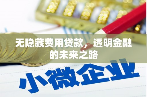 西市无隐藏费用贷款，透明金融的未来之路