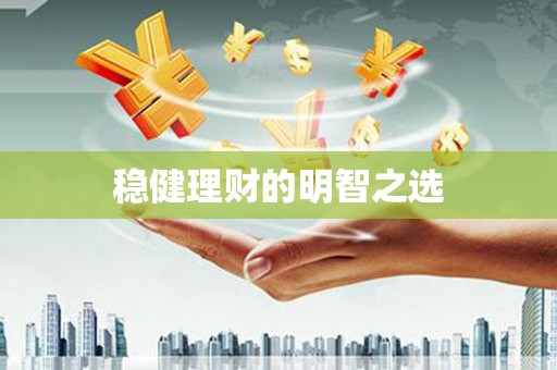 西市稳健理财的明智之选