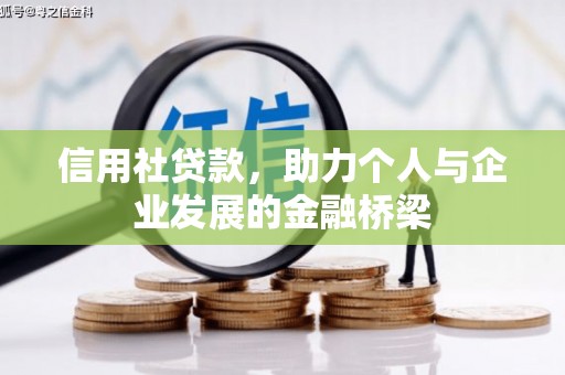 西市信用社贷款，助力个人与企业发展的金融桥梁