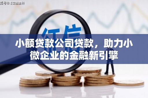 西市小额贷款公司贷款，助力小微企业的金融新引擎