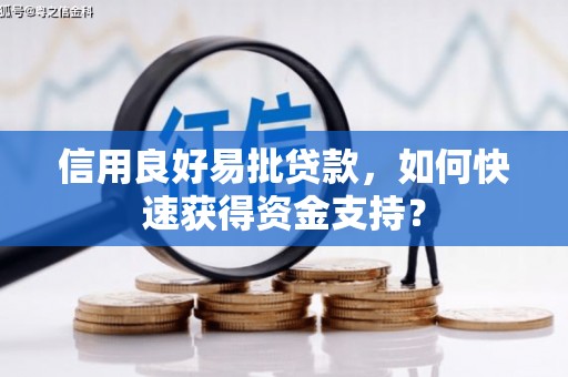 西市信用良好易批贷款，如何快速获得资金支持？