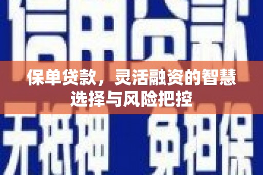 西市保单贷款，灵活融资的智慧选择与风险把控