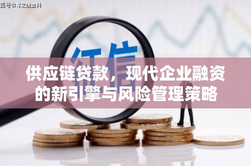 西市供应链贷款，现代企业融资的新引擎与风险管理策略