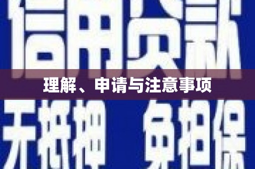 西市理解、申请与注意事项