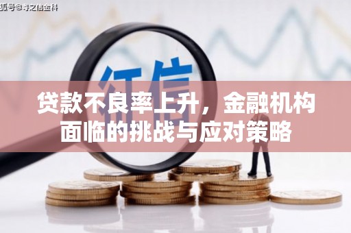 西市贷款不良率上升，金融机构面临的挑战与应对策略