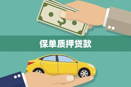 西市保单质押贷款