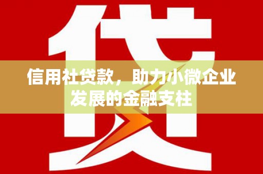 西市信用社贷款，助力小微企业发展的金融支柱