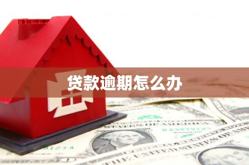 西市贷款逾期怎么办