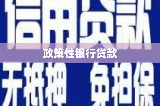 西市政策性银行贷款
