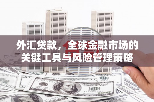 西市外汇贷款，全球金融市场的关键工具与风险管理策略
