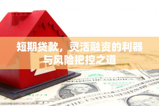 西市短期贷款，灵活融资的利器与风险把控之道
