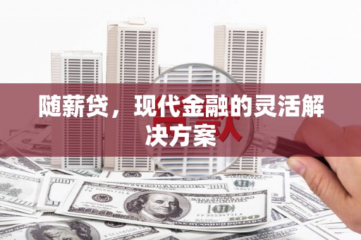 西市随薪贷，现代金融的灵活解决方案
