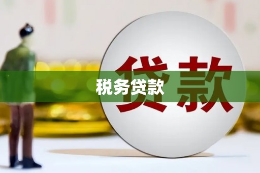 西市税务贷款