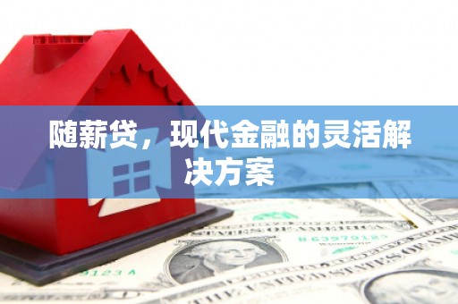 西市随薪贷，现代金融的灵活解决方案