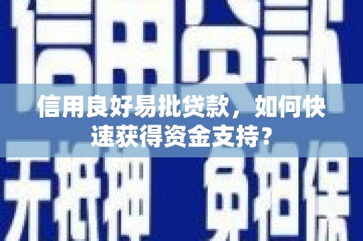 西市信用良好易批贷款，如何快速获得资金支持？