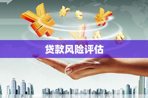 西市贷款风险评估