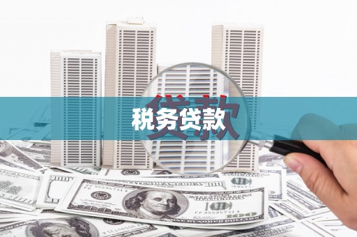 西市税务贷款